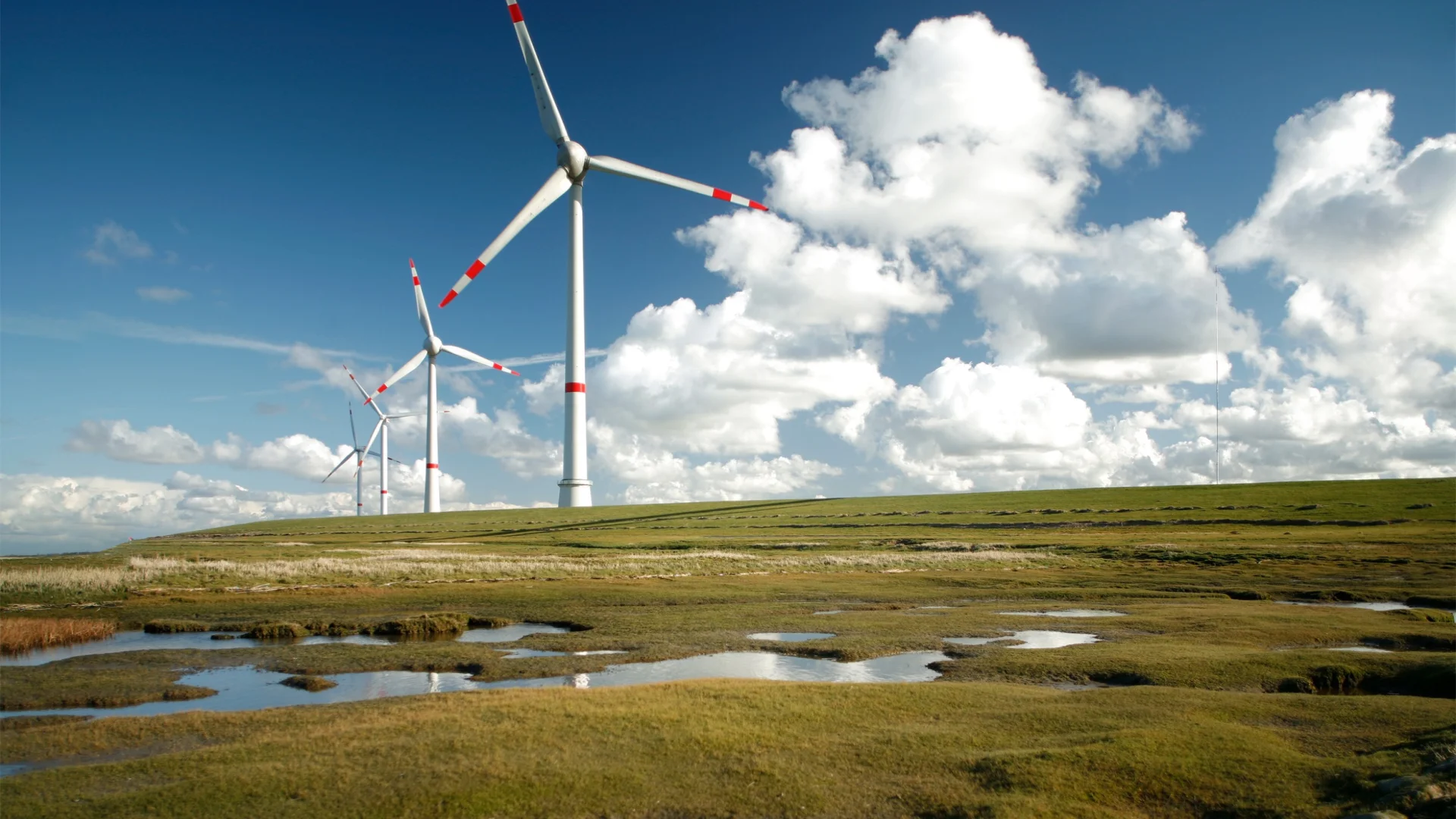 Wind turbines on a green field under a blue sky with white clouds – symbolizing sustainability and renewable energy at Fassmer.